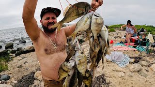 SCUP FISHING  FALMOUTH MA 🇺🇸 scup pescaesportiva fish [upl. by Norvun]