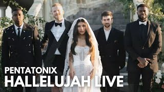 Pentatonix  Hallelujah LIVE Karaoke  AcaKrk [upl. by Akinhoj]