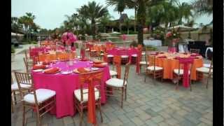 Your Saddlebrook Resort Wedding [upl. by Llemor]