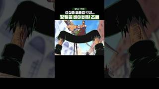 🔥레전드 회차🔥 드디어 전집중 호흡을 깨달아버린 조로 원피스 onepiece [upl. by Oirtemed477]