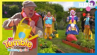 Growing Flowers with Grandad Tumble 🌸  Mr Tumble and Friends [upl. by Erdeid978]