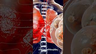 Diet for Pneumonia healthydiet pneumonia healthyfood [upl. by Rosalinda488]