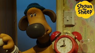 Shaun the Sheep 🐑 Bedtime  Cartoons for Kids 🐑 Full Episodes Compilation 1 hour [upl. by Cordey]