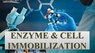 ENZYME amp CELL IMMOBILIZATION [upl. by Notlih]