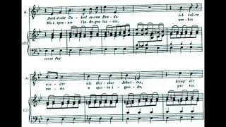 HANDEL quot Scherza Infida quot ARIODANTE piano accompaniment with score and vocal variations variazioni [upl. by Honorine]