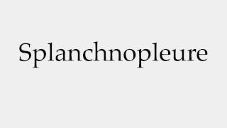 How to Pronounce Splanchnopleure [upl. by Kired]