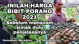 PORANG HARGA BIBIT PORANG 2021 [upl. by Johnathan]