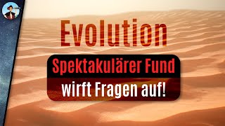 Etwas stimmt nicht mit unserer Evolutionstheorie [upl. by Soloman30]