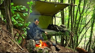 Wild Camping in Mountain Forest  Bushcraft Survival Shelter Creek Fishing Camp Cooking Asmr Diy [upl. by Frankie]