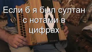 Если б я был султан ноты в цифрах [upl. by Rowney]