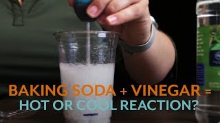 Vinegar and Baking Soda Reaction Heat Up or Cool Down [upl. by Hakan]