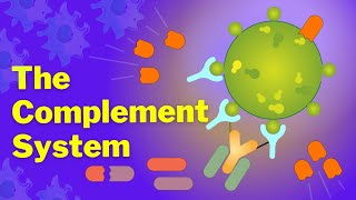 The Complement System is SO EASY Stop Making it Hard [upl. by Kcirreg]