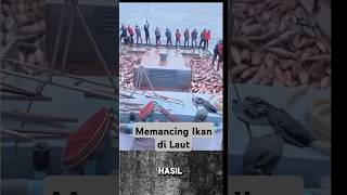 Memancing ikan di laut shorts short fyp [upl. by Glennon]