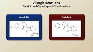 Important Side Effects and Toxicities Antibiotics  Lecture 8 [upl. by Jecho]