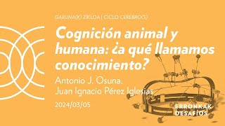 quotCognición animal y humana ¿a qué llamamos conocimiento Antonio J Osuna JI Pérez Iglesias [upl. by Damali720]