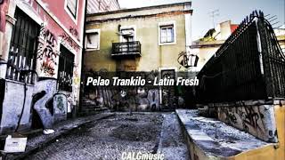 Pelao tranquilo  Latín fresh letra [upl. by Mendoza]