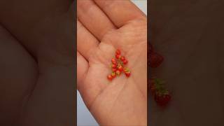 Making miniature strawberries polymerclay strawberry miniature tutorial [upl. by Dionisio948]