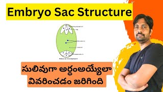 Embryo sac Structure Explained in Easy Way [upl. by Belen]