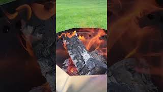 Blackstone made a smokeless fire pit Perfect for your campsite or backyard Link in description [upl. by Liggitt311]