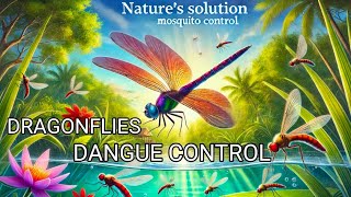 why god made Dragonflies Nature’s Solution to Mosquito Controlmosquitoe hunterhistory science [upl. by Dnalrah932]