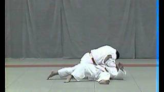 Kodokan goshin jitsu official DVD vs kata world champion [upl. by Jasun968]