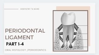 A to Z about PERIODONTAL LIGAMENT [upl. by Ahsinit472]