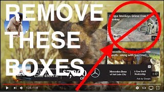 Block Annoying New Overlay at End of YouTube Videos [upl. by Goodkin744]