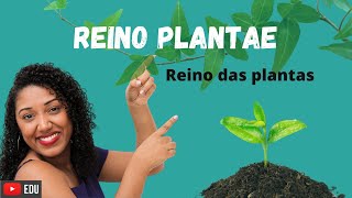 Aula Reino das Plantas Plantae [upl. by Kirad451]