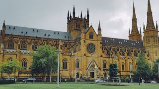 9am Mass St Marys Cathedral Sydney Votive Mass of the Blessed Virgin Mary 16 November 2024 [upl. by Yeoj]