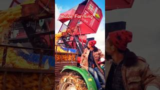 Maize Farming ytfeed ytshots trending viral [upl. by Souvaine]