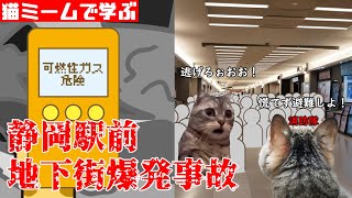 猫ミームで学ぶ静岡駅前地下街爆発事故 猫マニ 猫ミーム [upl. by Attiuqal]