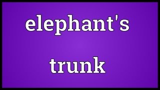 Elephants trunk Meaning [upl. by Oakley409]