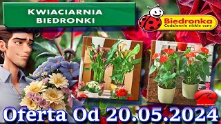 𝐁𝐈𝐄𝐃𝐑𝐎𝐍𝐊𝐀🐞Kwiaciarnia Biedronki Nowa Oferta Od 20052024 Kwiatowe Inspiracje Biedronki Tanie Kwiaty [upl. by Onra]