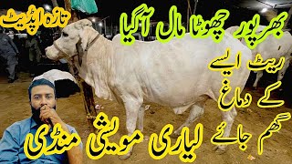 Liyari Cow Mandi Chota Mal Agya Rate Update Mandi [upl. by Elva]