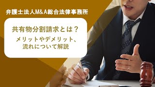 共有物分割請求とは？メリットやデメリット、流れについて解説 弁護士法人Ｍ＆Ａ総合法律事務所 [upl. by Nileuqay]