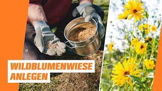 Blumenwiese anlegen I OBI I Naturnaher Garten  Folge 1 [upl. by Htieh]