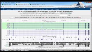 3 UCSC Genome Browser Tutorial BLAT [upl. by Betta921]