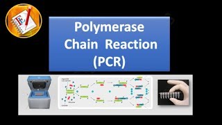 Basic Concepts 01  Polymerase Chain Reaction PCR [upl. by Plumbo]