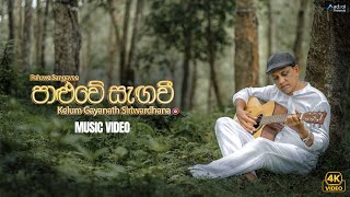 Paluwe Sangavee පාළුවේ සැඟවී  Official Music video by Kelum Gayanath Siriwardhana [upl. by Froehlich]