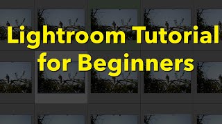 Lightroom Classic Tutorial for Beginners [upl. by Illa167]