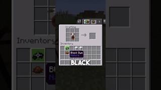 Using black dye on Minecraft minecraft minecraftshorts minecraftanimation [upl. by Gery]