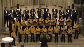 Göttinger Knabenchor quotPühaquot Urmas Sisask Johanneskirche Stuttgart 04102016 [upl. by Anahsirk]