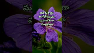 Jeevitha satyalu 1267  neethi vakyalu  manchi matalu  telugu sukthulu  quotations  top matalu [upl. by Nor254]