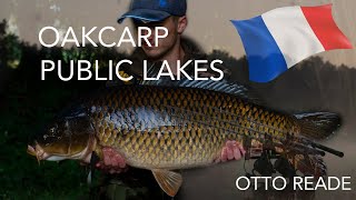 The Best Carp Lake in France  Wild carp fishing  Otto Reade [upl. by Ynobe]