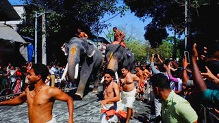 ഗുരുവായൂർ ആനയോട്ടം  Guruvayur Elephant Race 2023  Guruvayur Anayottam  Guruvayur Utsavam [upl. by Lokkin16]