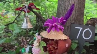 Fairies gnomes and trolls oh my Trail of Small Wonders opens in St Louis Park [upl. by Afaw348]