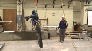 Fall Protection Safety Demo [upl. by Willis447]