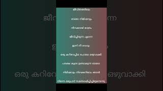 കറിവേപ്പില music love song malayalam tamil kadumkappisong parayatheparayunna kadumkappi [upl. by Annohsat]