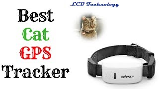 Best Cat GPS Tracker 2019 [upl. by Pretrice]