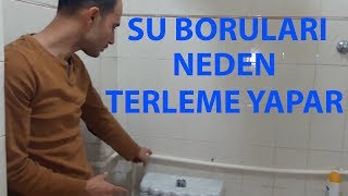 SU BORUSU NEDEN TERLER [upl. by Boleslaw]